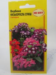 Вербена низкорослая смесь (НКЄлит)