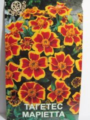 Тагетіс 