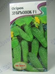 Зубрьонок F1 огірок (НК Элит)