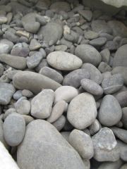 Галька крымская- мелкая