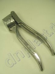 Чесночница круглая