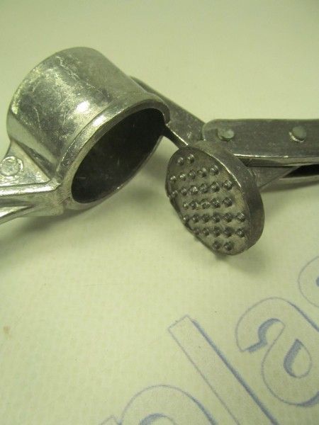 Чесночница круглая