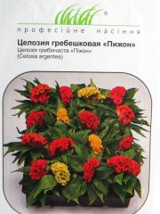 Целозия гребешковая 