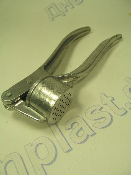 Чесночница круглая