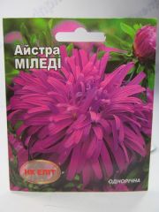 Міледі айстра 3г (НК Єліт)