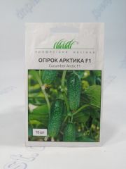 Арктика огірок F1 (ПН)