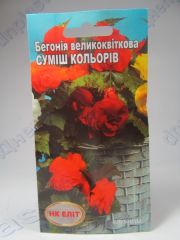Суміш кольорів крупноцветковая бегонія (НКЭлит)