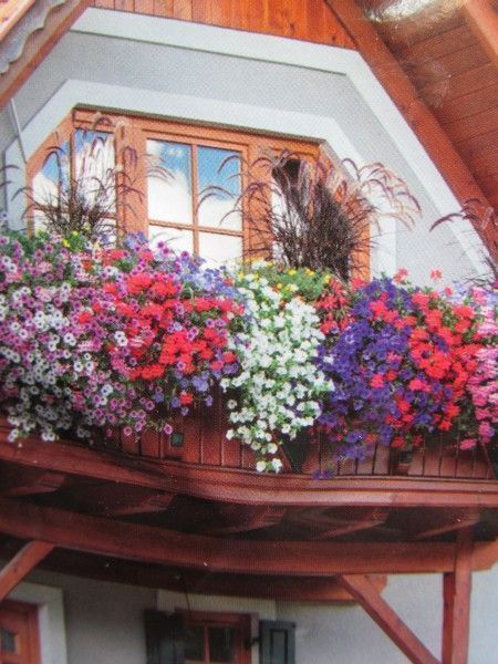 Балконне Диво, великий пакет (Квітень)