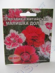 Малишка Доллі гвоздика  (НК ЄЛИТ)