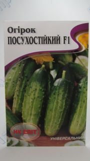 Посухостійкий огірок F1 великий пакет (НК Єліт)