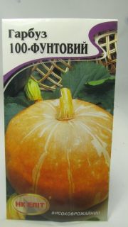 Стофунт гарбуз(НКЭлит) 10шт