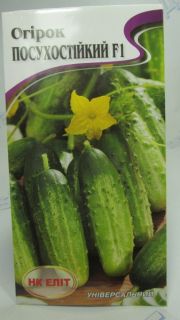 Посухостійкий огірок F1 (НК Єліт)