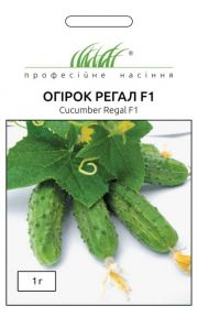 Регал огірок F1 (ПН)