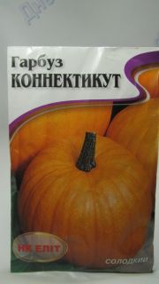 Коннектикут гарбуз 16г (НК Єліт)