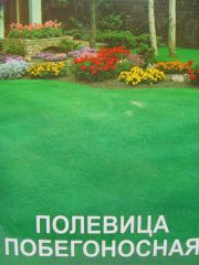 Полевица Побегоносная, великий пакет (Квітень)