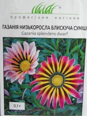 Газанія низькоросла блискуча суміш (ПН)
