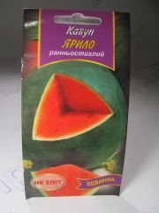 Ярило кавун (НК Еліт)