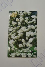 Гіпсофіла Багаторічна (ПН)