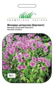 Бергамот (Монарда цитрусова)  (ПН)