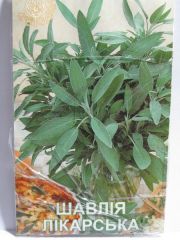 Шавлія лікарська (Квітень)