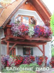Балконне Диво, великий пакет (Квітень)