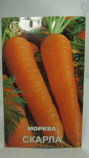 Скарла морква F1 (Квітень))