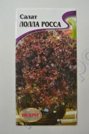 Лолло Россо Констанц салат (НКЭлит)