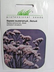 Кермек выемчатый, белый (ПН)