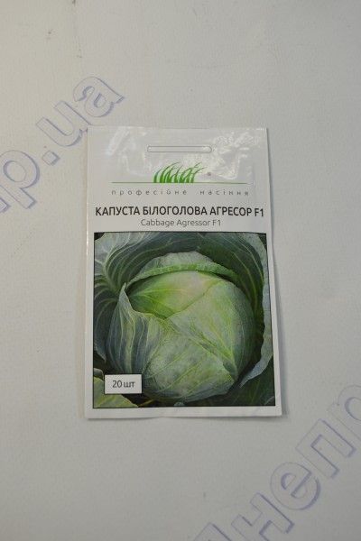 Агресор капуста білоголова F1(ПН)