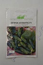 Атлантіс огірок F1 (ПН)