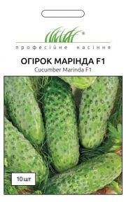 Марінда огірок F1 (ПН)