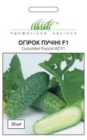 Пучіні огірок F1 (ПН)