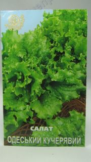 Одеський кучерявий салат  (Квітень)