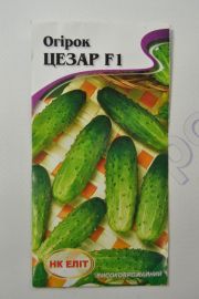 Цезар огірок F1 (НК Элит)