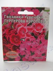 Пурпурова королева гвоздика турецька (НК ЄЛИТ)
