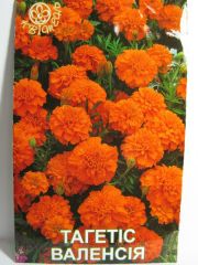 Тагетіс 