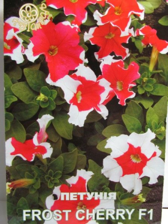 Петунія FROST CHERRY F1, великий пакет (Квітень)