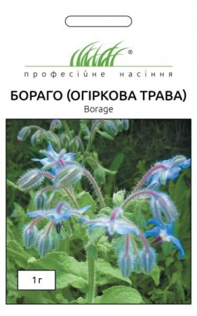 Бораго (Огіркова трава) (ПН)
