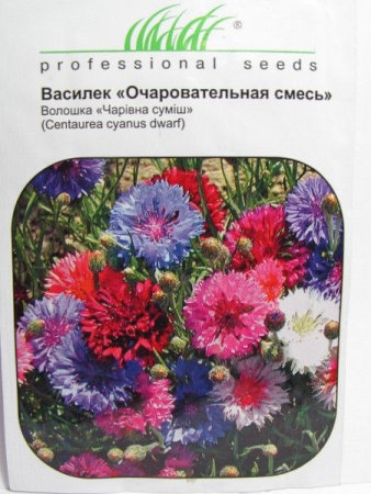 Василек "Очаровательная смесь" (ПН)