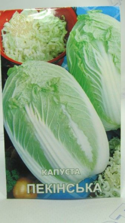 Пекінська  капуста  (КвІтень)