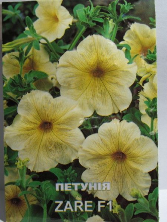 Петунія ZARE F1, великий пакет (Квітень)