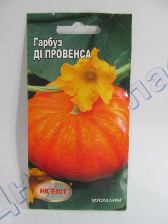 Ди провесна гарбуз (НК Єліт)