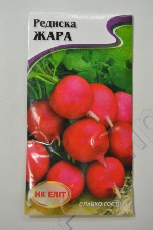 Жара редис  (НК)
