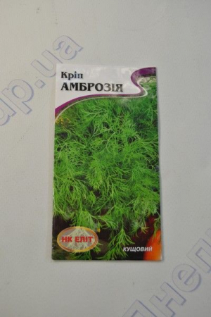 Амброзія кріп (НК)