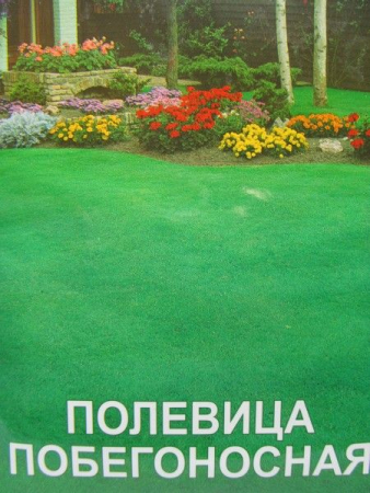 Полевица Побегоносная, великий пакет (Квітень)