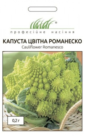 Романеско капуста цвітна