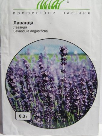 Лаванда (ПН)