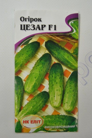 Цезар огірок F1 (НК Элит)