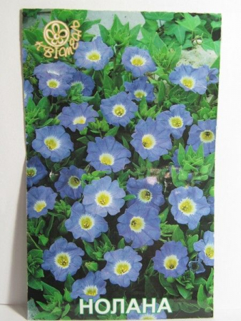 Нолана (Квітень)