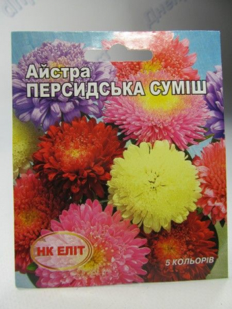 Персидьска суміш айстра 3г (НК Єліт)